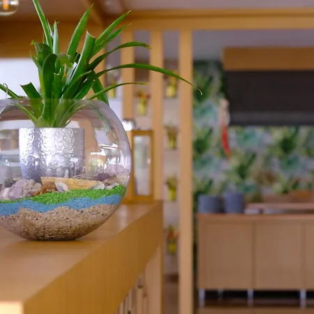 Hotel Bora Bora Butik Alanya